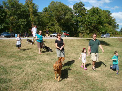 Photo Gallery New Dog Park Opens At Greenway Farm Chattanoogan Com