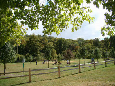 Photo Gallery New Dog Park Opens At Greenway Farm Chattanoogan Com