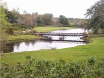 Bellingrath Gardens