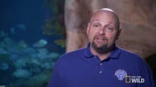 Thom Demas, Curator of Fishes at the aquarium. 