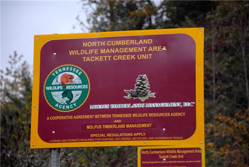 TWRA Introduces Tackett Creek Unit Of North Cumberland Wildlife
