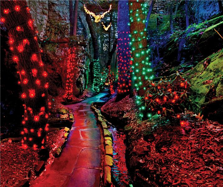 Create New Family Traditions This Holiday Season - Chattanoogan.com