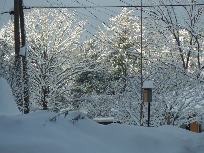 PHOTOS Still More Snow In Chattanooga