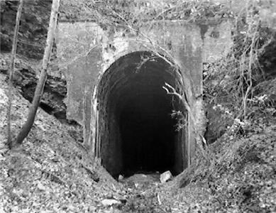 Tunnel through Pigeon Mountain on the TAG Railroad near LaFayette, Ga. The tracks were taken up south of the tunnel and they are overgrown to the north.