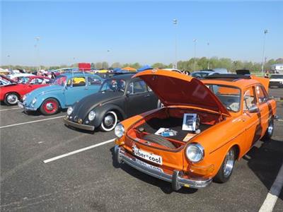 Rows of VW cars lined up at Bug-a-Paluza