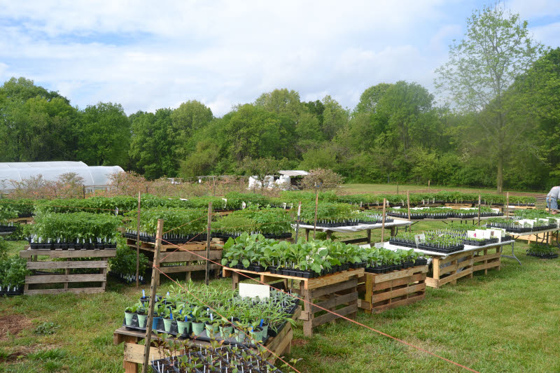 Crabtree Farms 18th Annual Spring Plant Sale And Festival Is This