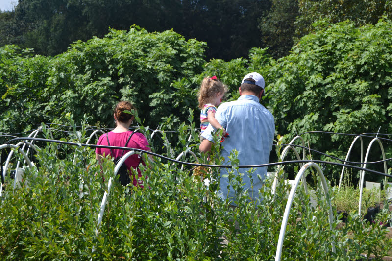 Crabtree Farms 18th Annual Spring Plant Sale And Festival Is This