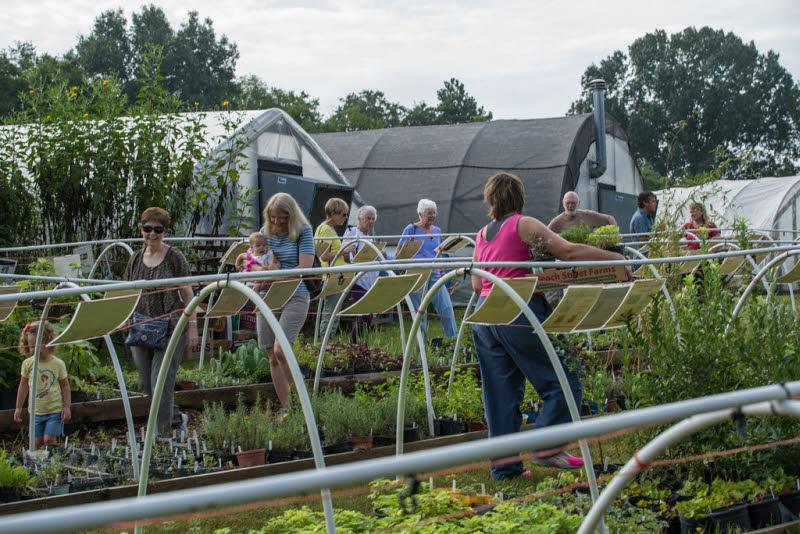 Crabtree Farms 18th Annual Spring Plant Sale And Festival Is This