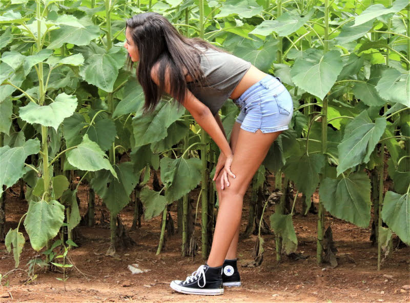 PHOTOS Enjoying The SmithBerry Farm Sunflowers