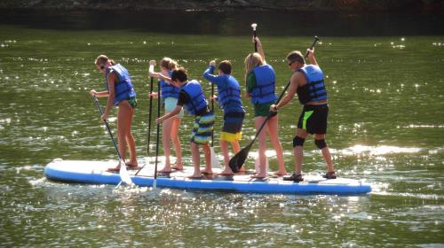 Tennessee Aquarium Gearing Up For New Summer Camp Programs Chattanoogan Com