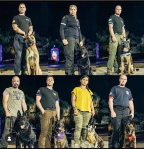 top k9 dogs