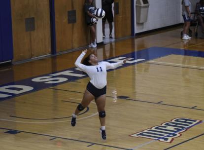 Cleveland State Volleyball Falls To Talented Walters State - Vimarsana News