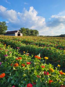 Flat Top Mountain Farm