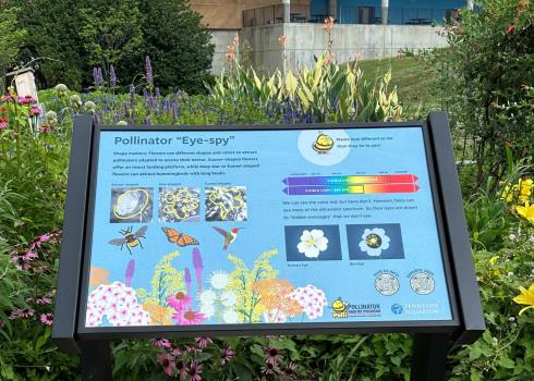 Pollinator Pathway signs on the Aquarium Plaza lead guests on a self-guided tour highlighting native plants, pollinator behaviors, and unusual pollinators