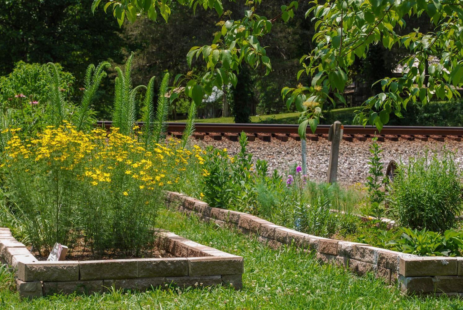 MGHC's 36th Annual Garden Tour June 24, 25 Features Private And Public