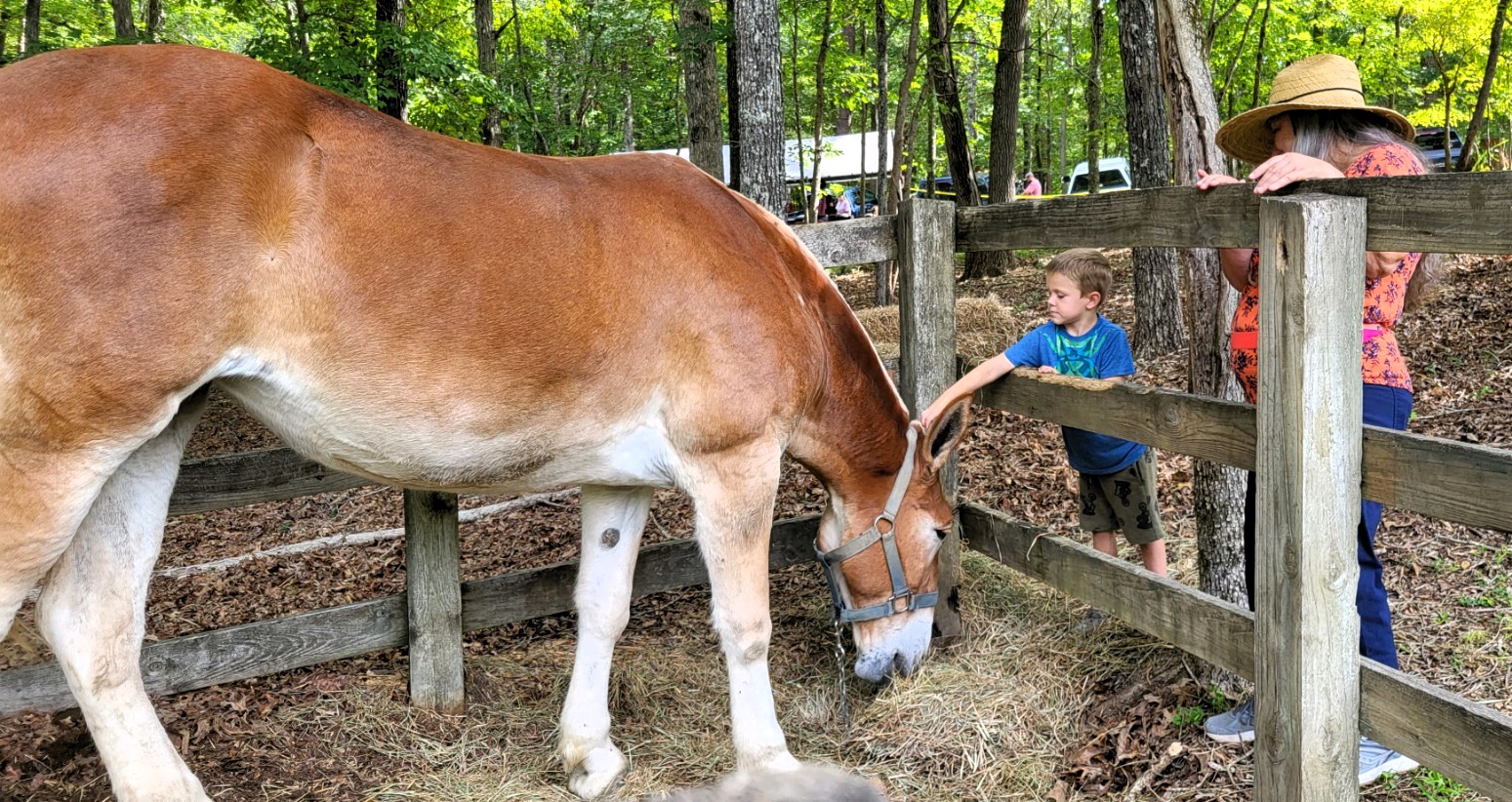 Crowds Turn Out For Mountaineer Folk Festival