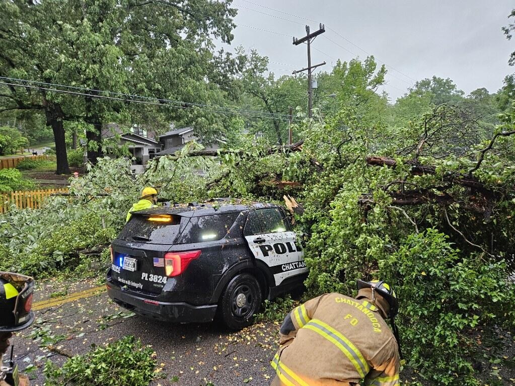 CPD Officer Has Minor Injuries After Tree Falls On Patrol Vehicle ...