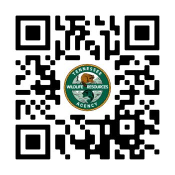 TWRA Requests Public Input for 2026-27 Fishing Regulations
