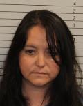 School Safety Officer At Lookout Mountain Elementary Arrested On Friday