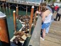 Road Trip: Chattanooga To The Pacific Coast - Beautiful Oregon 