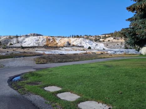 Oregon Back To Chattanooga, Day 5; The Bear Cubs And Dinner At Old Faithful