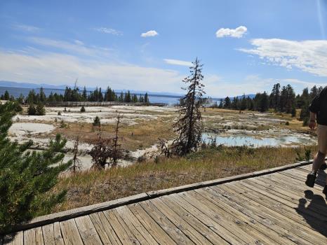 The West Thumb Hot Springs field