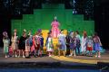 Life With Ferris: The Signal Mountain Playhouse's Wizard Of Oz Was Enchanting