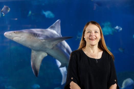 Mary Ann Beil, Chief Financial Officer & Vice President at Tennessee Aquarium