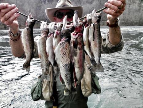 White Oak Mountain Ranger: A 2-Blanket Night