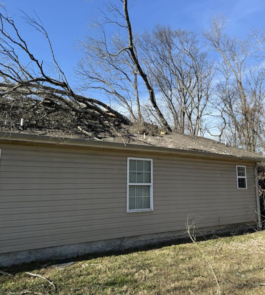 Large Tree Falls On Home Causing Significant Damage Wednesday Afternoon ...