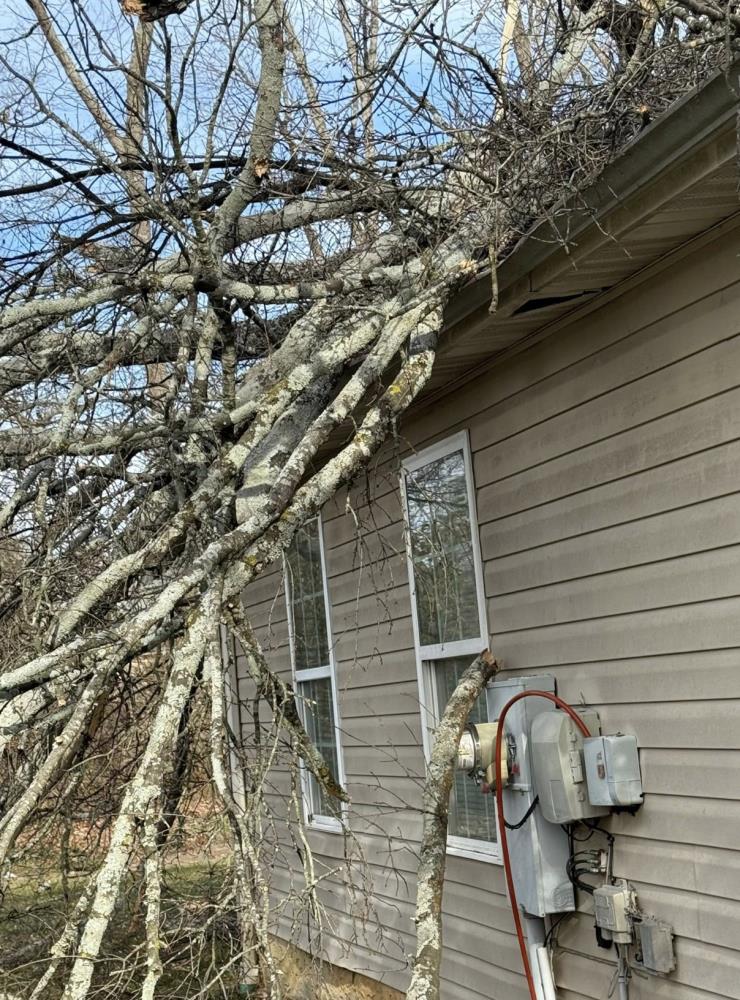 Large Tree Falls On Home Causing Significant Damage Wednesday Afternoon ...