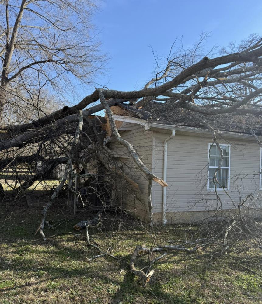 Large Tree Falls On Home Causing Significant Damage Wednesday Afternoon ...