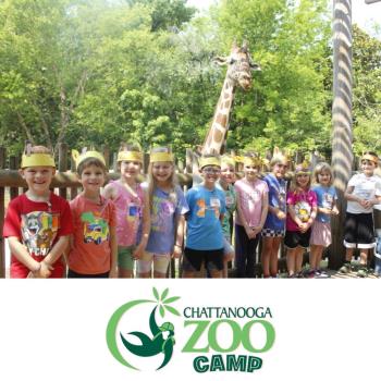 Chattanooga Zoo Opens Summer Camp Registration