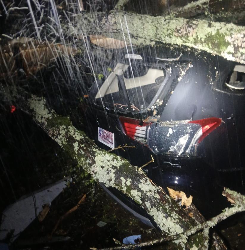 Tree Falls Onto Home Of Jasper Family, Causing Damage To House ...