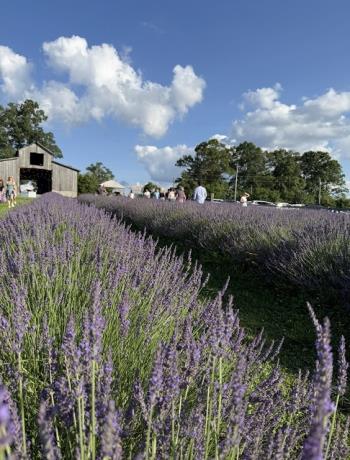 Tennessee Family Farm Celebrates 202 Years During America's 250th Anniversary
