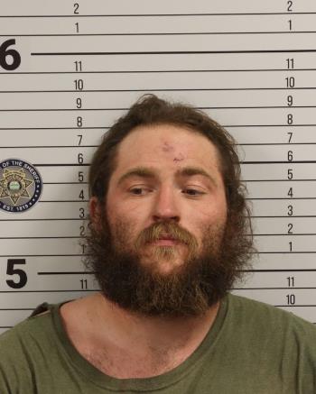 Assault News Image